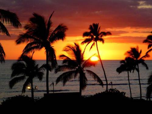 Kihei Hawaii United States Hotel