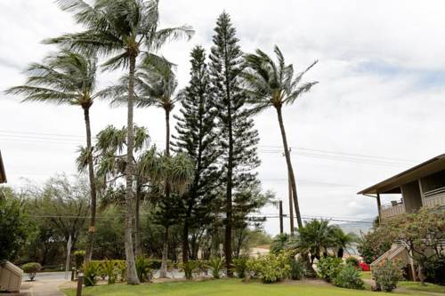 Kihei Hawaii United States Hotel