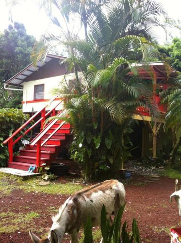 Orchidlands Estates Hawaii Promo Code Agoda.com